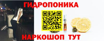 дмт Ачхой-Мартан