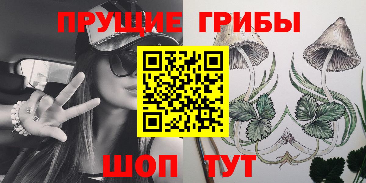 Псилоцибиновые грибы Cubensis Дербент